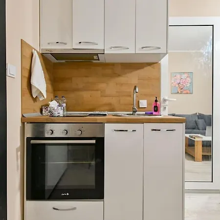 Modern In A Area Apartment