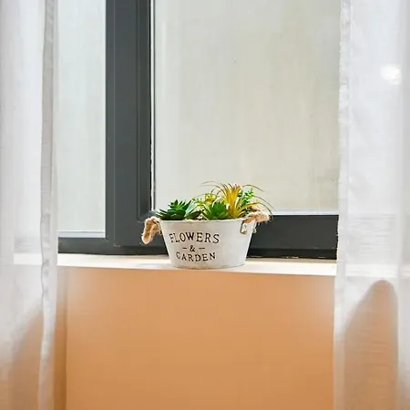 Apartment Modern In A Area *