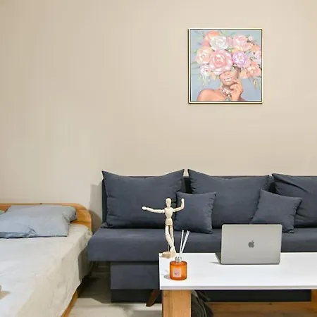 Modern In A Area Apartment *